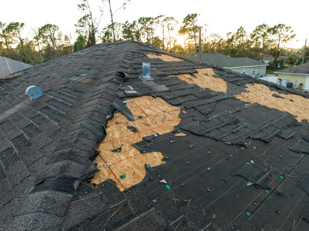 Best Metal Roofing Installation  in Mount Pleasant, MI